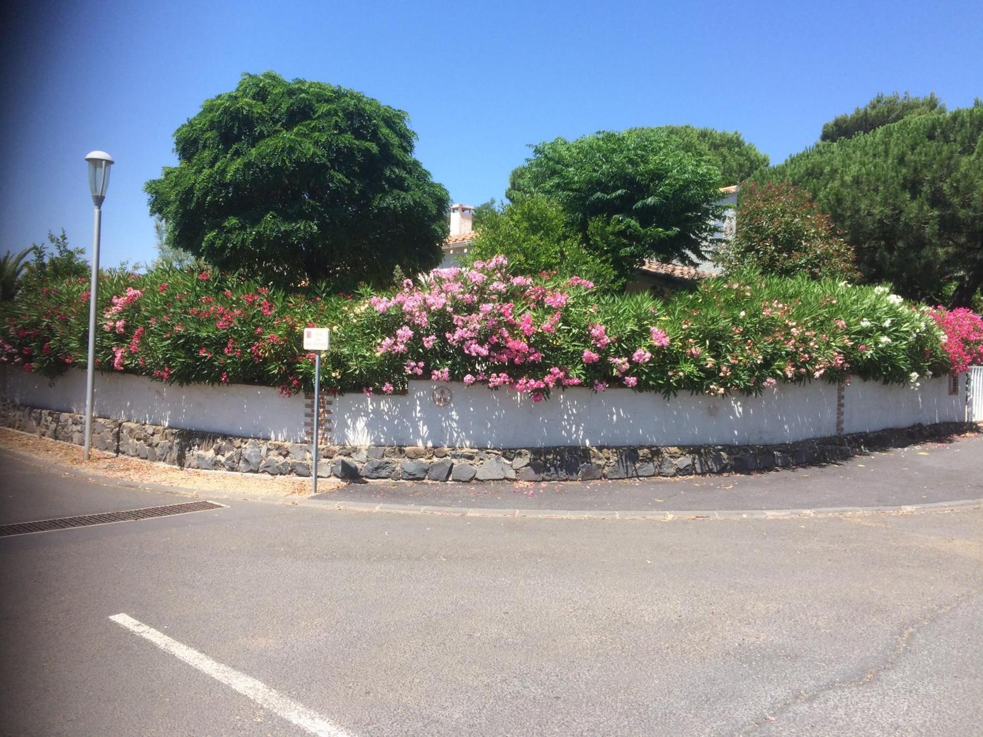 Maison Complete Cap D'agde Au Calme Avec Jardin Agde