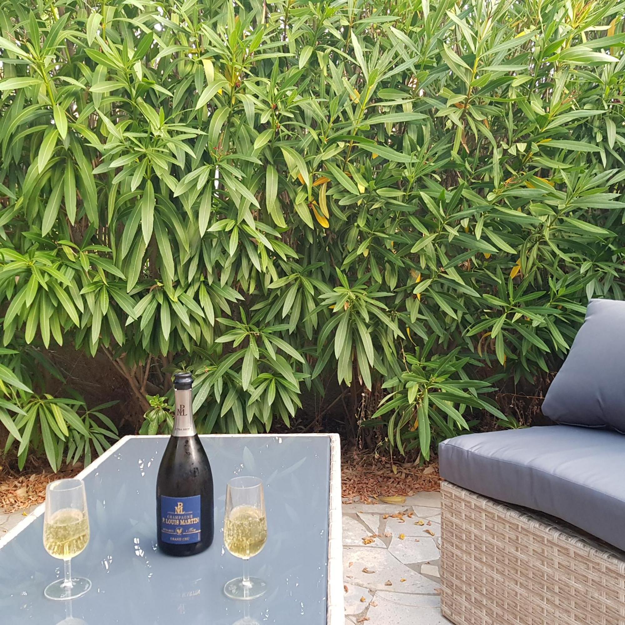 Holiday home Maison Complete Cap D'agde Au Calme Avec Jardin